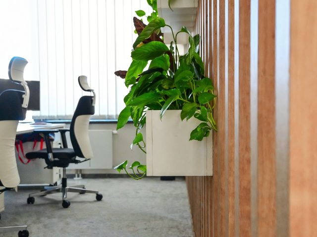 Ergonomiczne fotele biurowe, zielona roślinność i drewniane panele w nowoczesnej przestrzeni pracy.