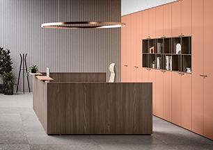 Projektowanie biura zgodnie z trendem Biophilic Design – rola naturalnych materiałów i roślinności